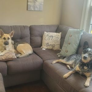 Meet your Posher, Ashley